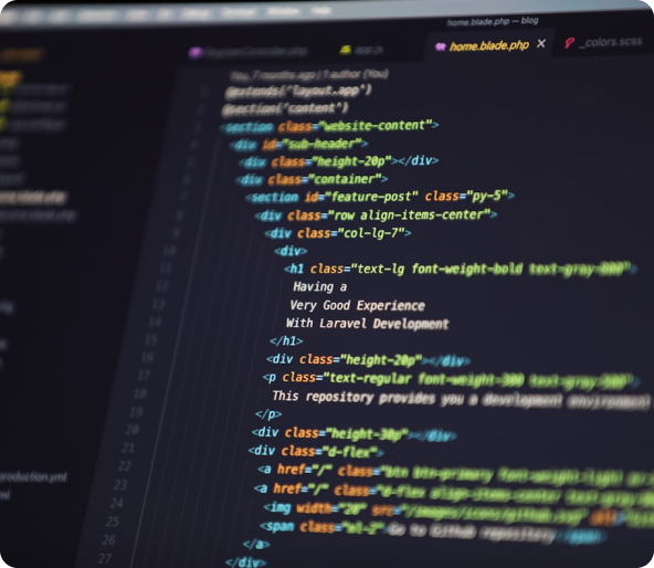 Software Development